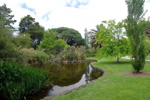 Local Park