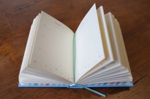 A Sentance A Day Journal