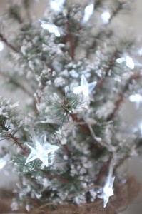 Snow Tree Lights