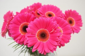 Flowers1
