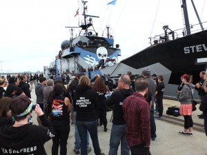 SeaShepherdPressRelease