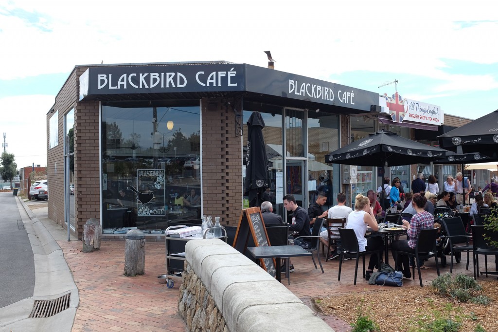 Blackbird Cafe