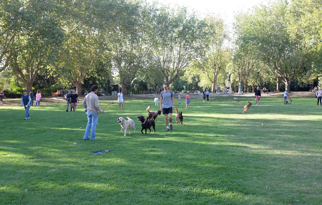 Dog lovers Park