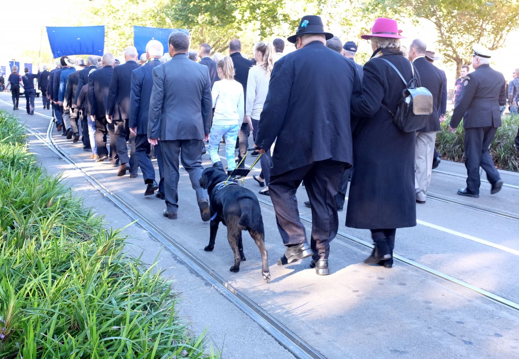 Guide Dog on March