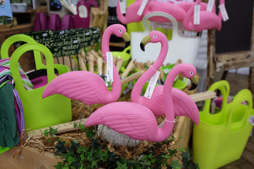 Van Loons Flamingos