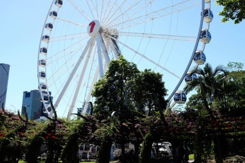 Wheel of Brisbane