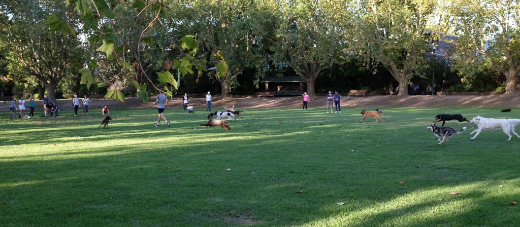 Running Free
