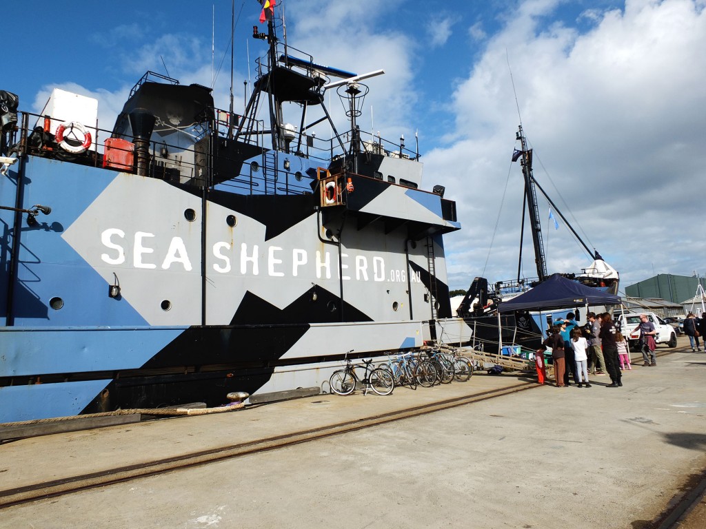 Sea Shepherd