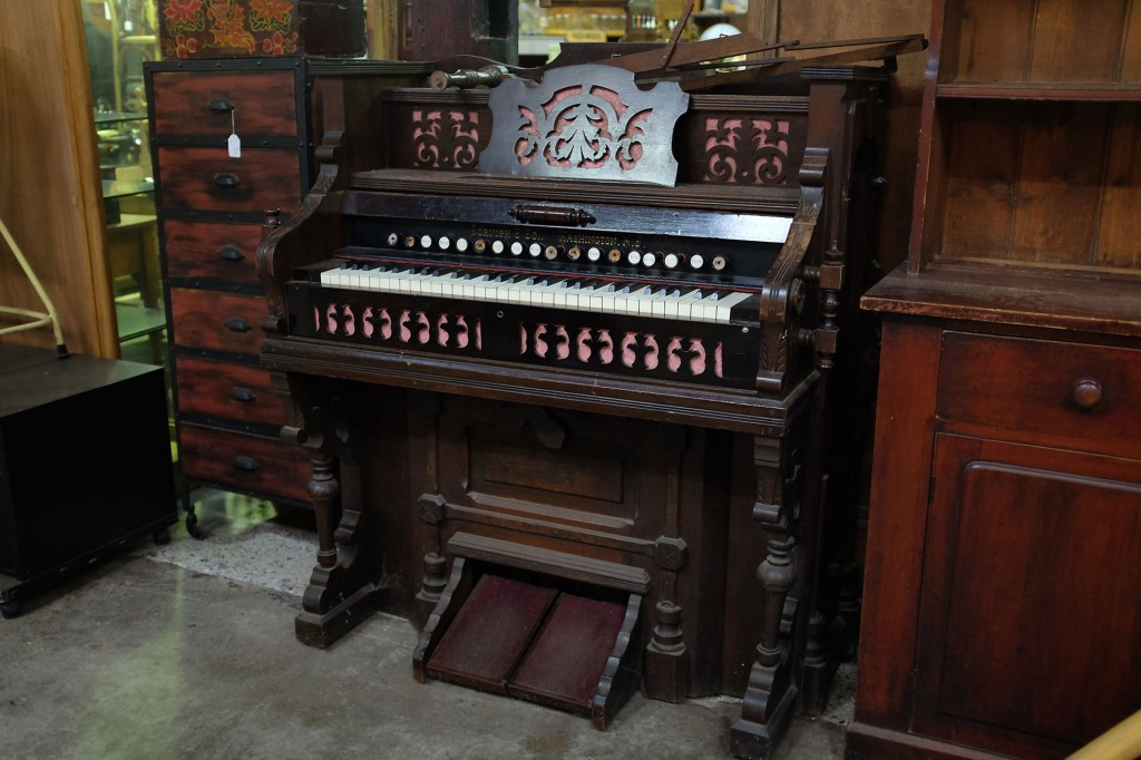 Organ