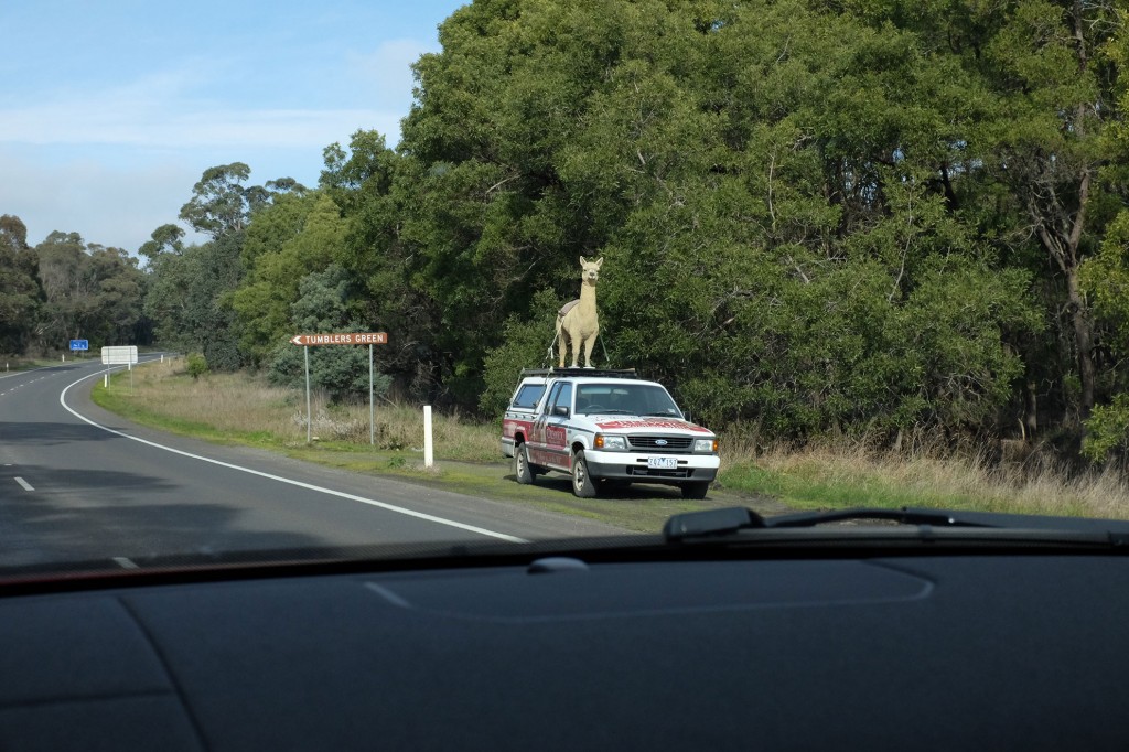 Car with Alpaca