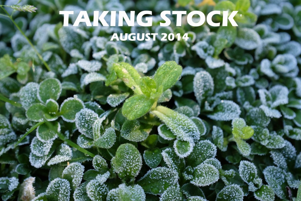 Taking Stock August 2014