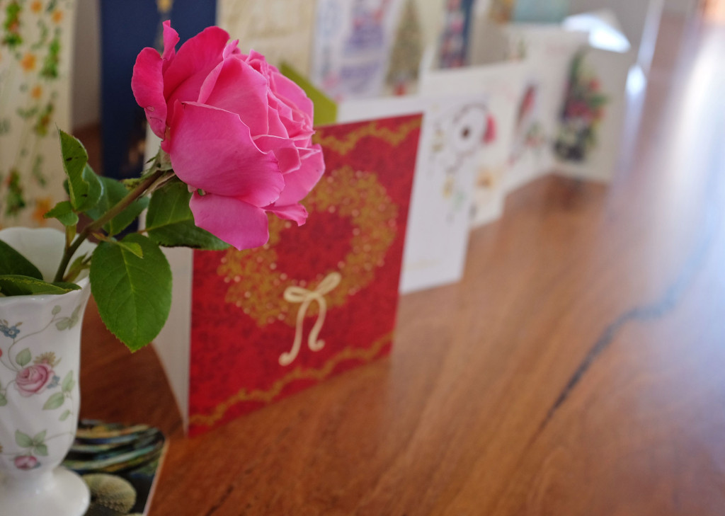 Christmas-cards-rose