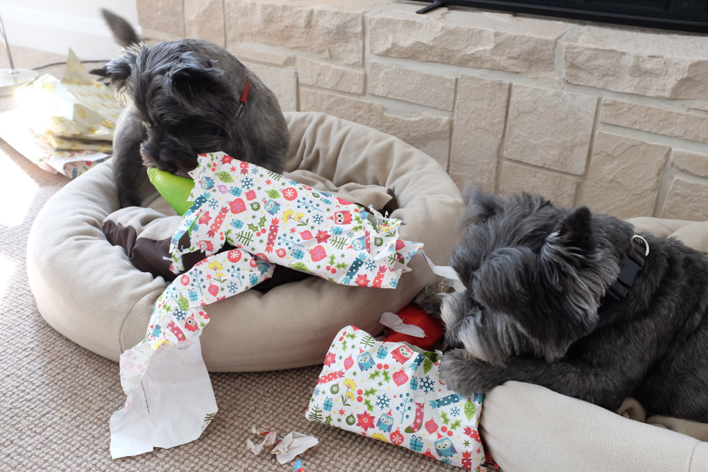 Opening-Presents