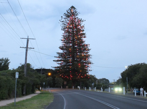 Pt-Lonsdale-Christmas-Tree