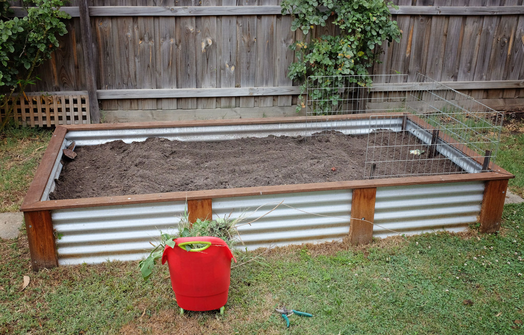 Veggie-Patch-1