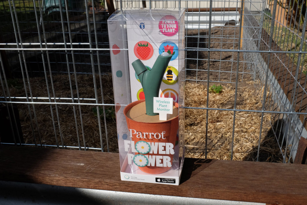 Parrot-Flower-Power