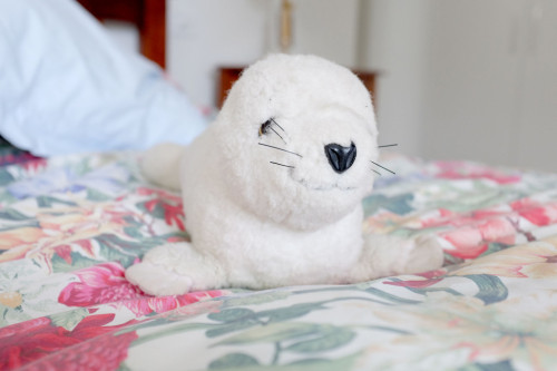 Seal-pup-toy