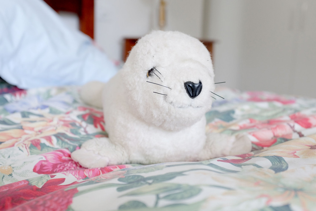 Seal-pup-toy