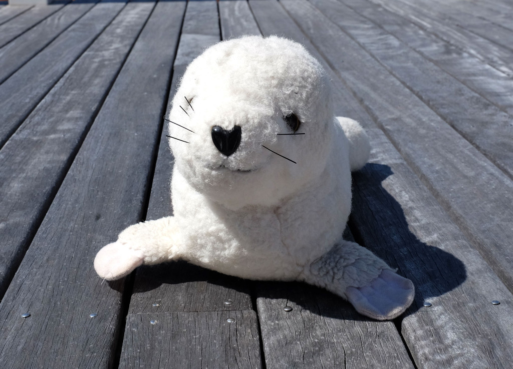 Seal-pup-toy