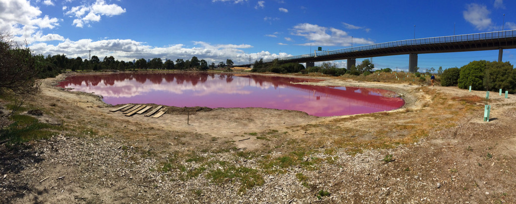 Pink-Lake