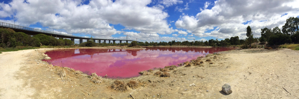 Pink-Lake