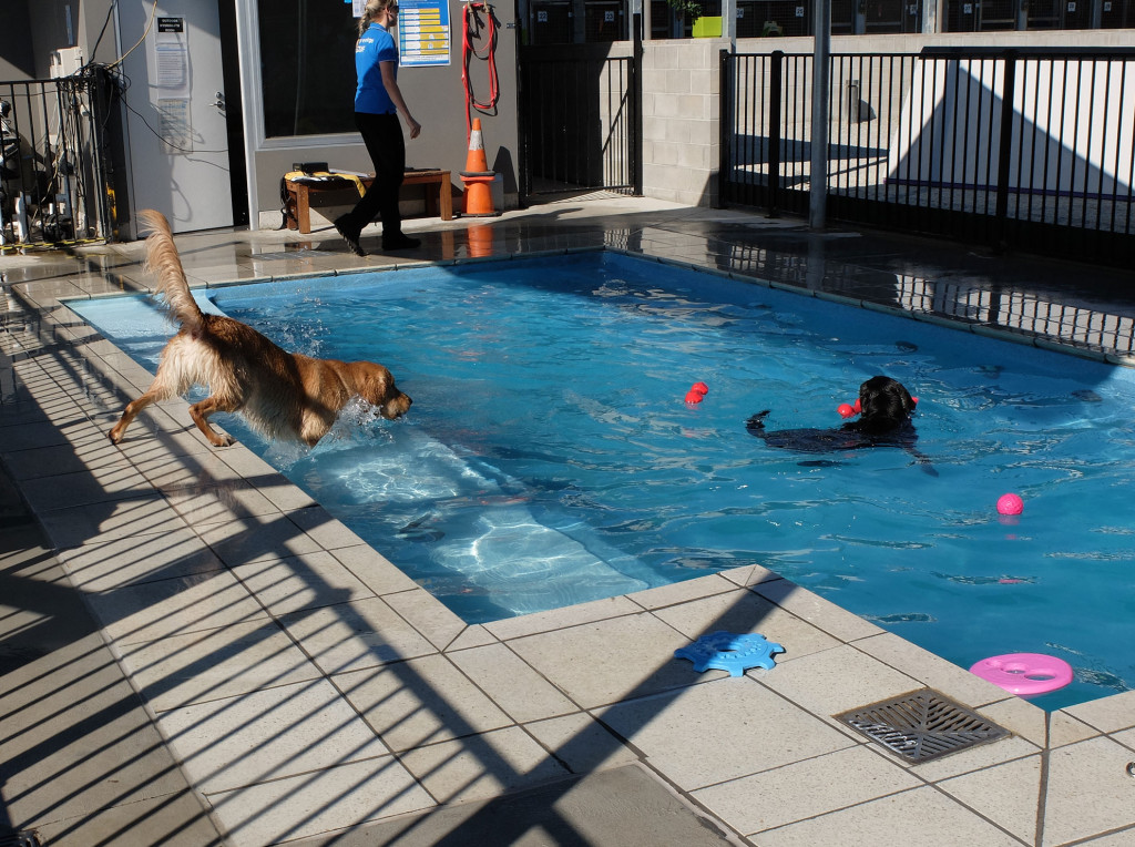 Pooltime