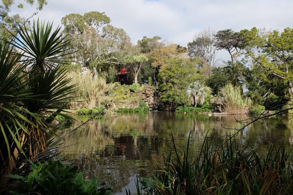 Rippon-Lea-Lake