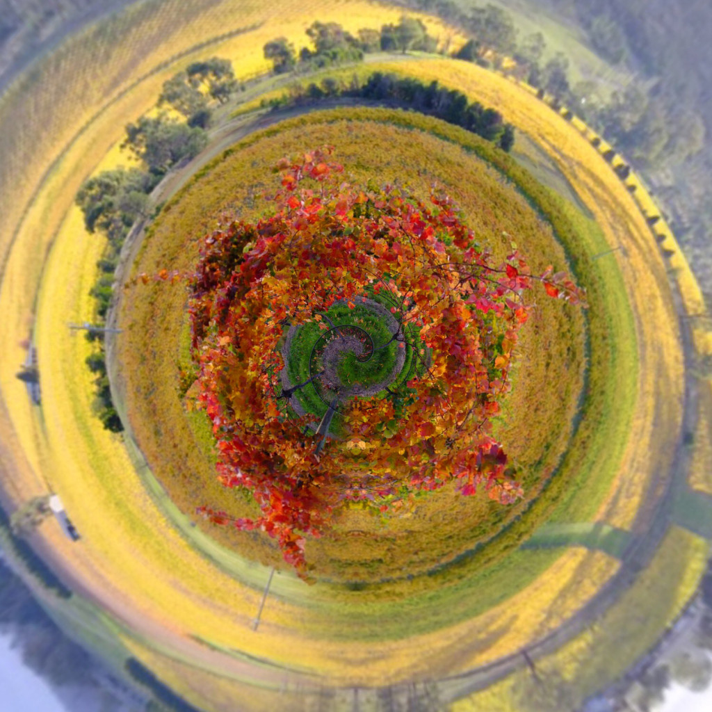 Tiny-planets