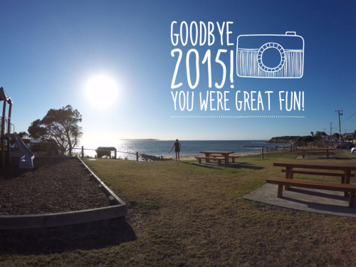 Goodbye-2015