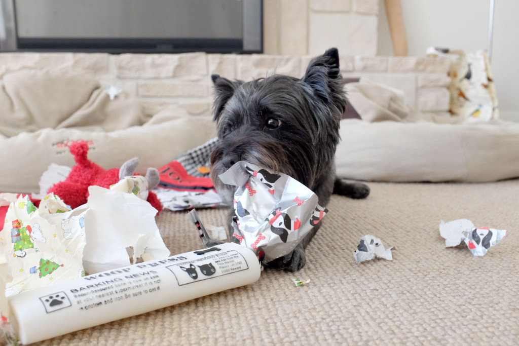 Unwrapping-Presents