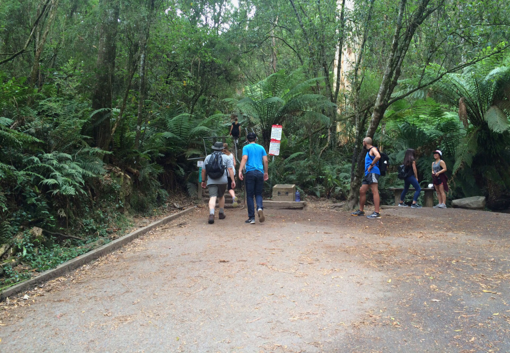 1000-Steps-Mt-Dandenong