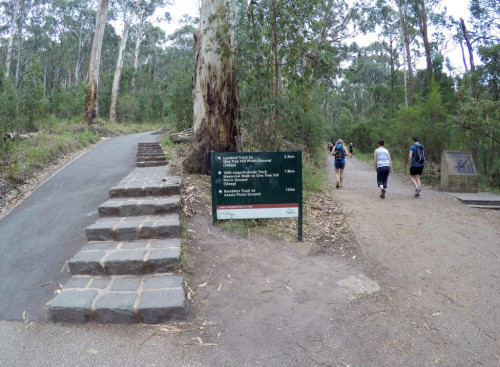 Mt-Dandenong-Walks