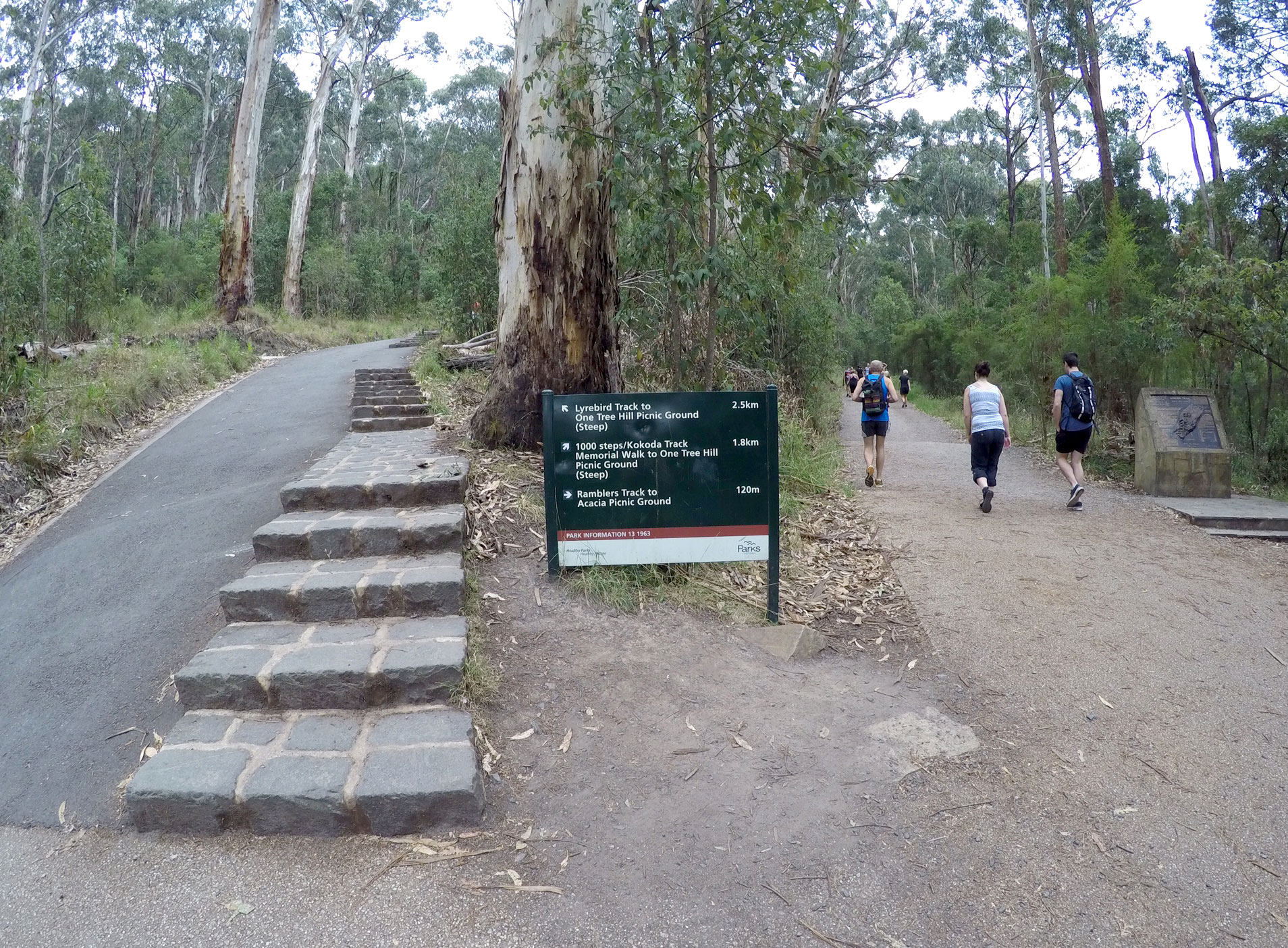 Kokoda Track Memorial Walk Zinc Moon
