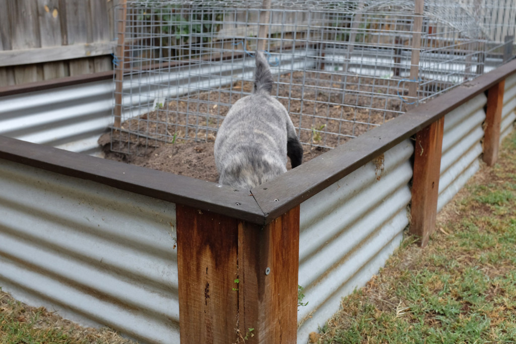 Digging-in-Garden