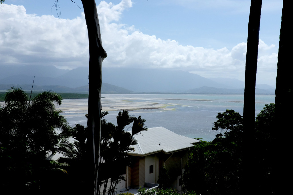 Coral-Sea-Low-Tide