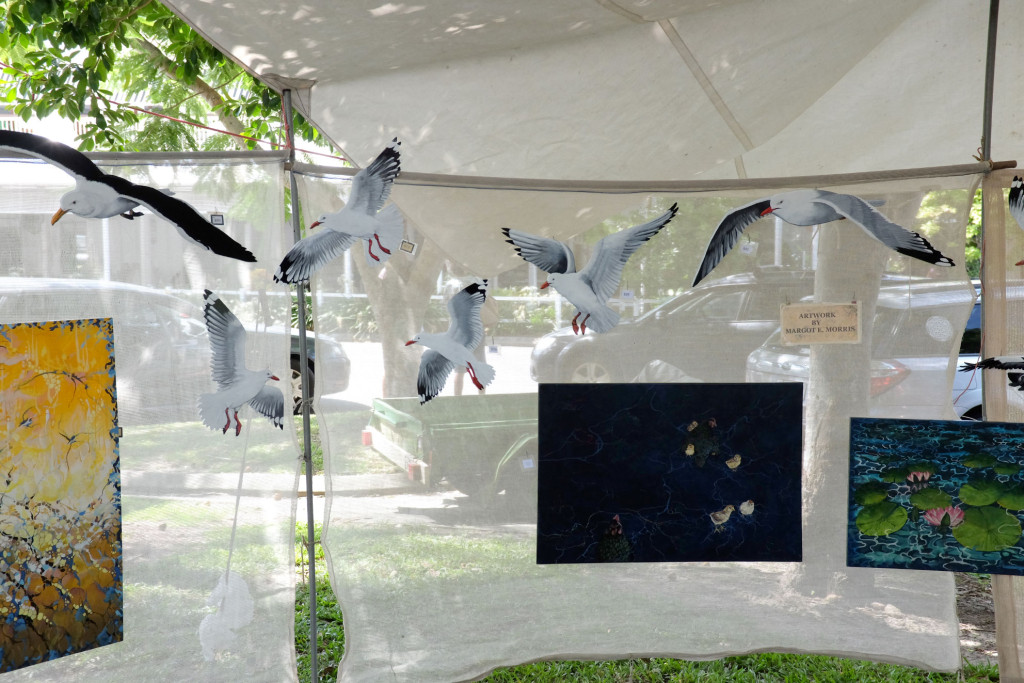 Port-Douglas-Market-birds