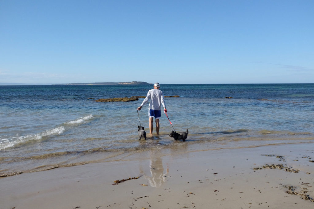 Autumn-Beach-Day