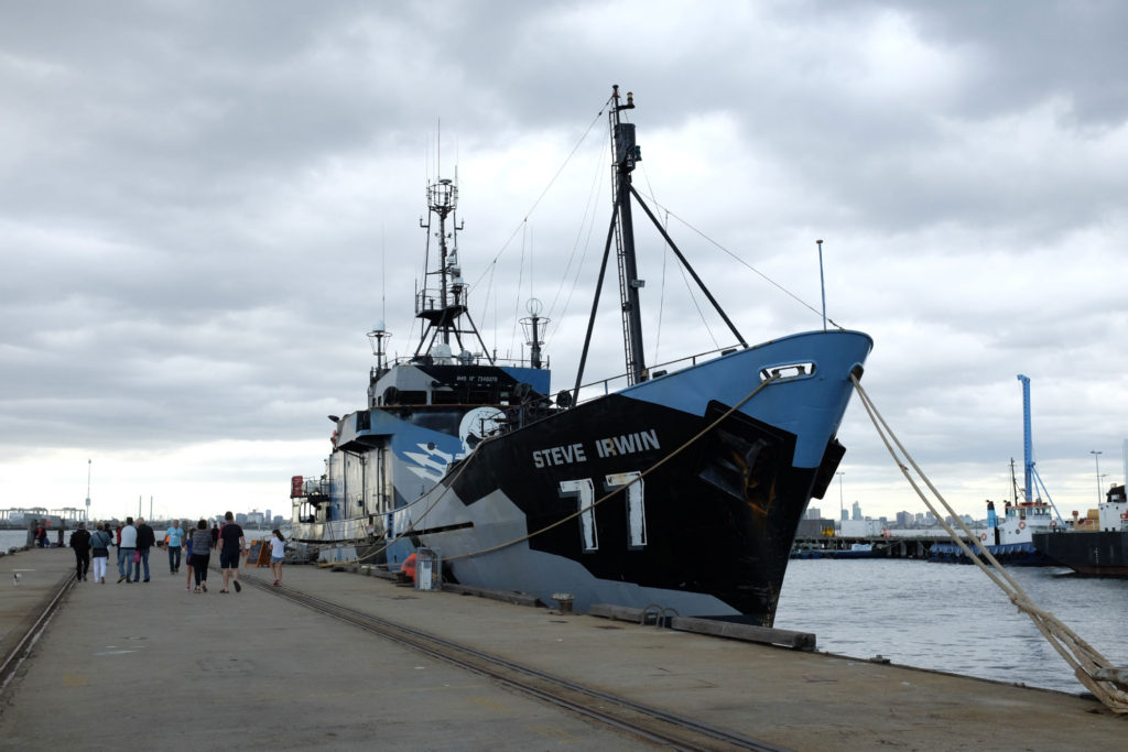 Sea-Shepherd