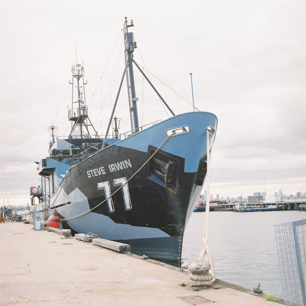 Sea-Shepherd-Steve-Irwin-May-2016