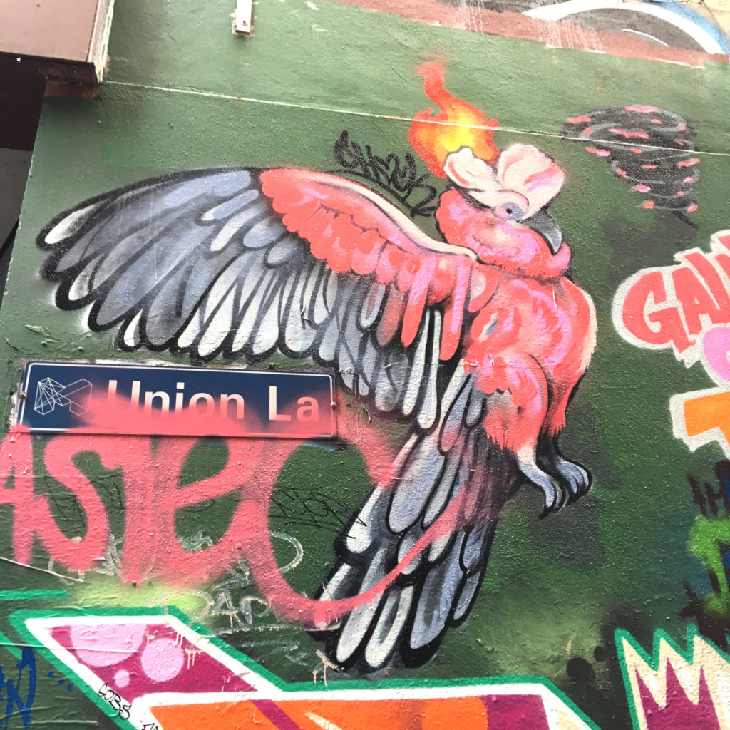 Union-Lane-galah