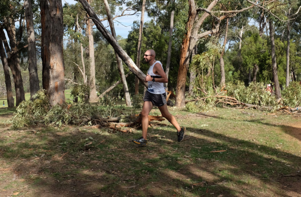 Wandin-Park-run