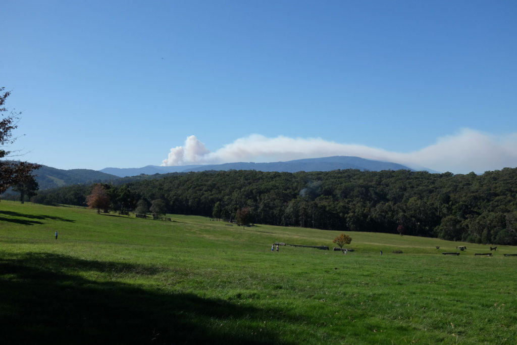 Wandin-Park-smoke