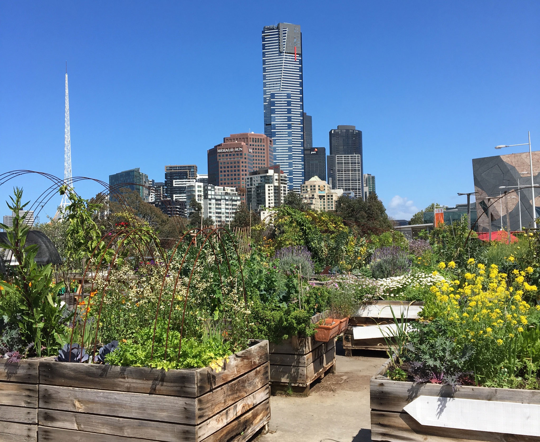 tlvp-view-of-melbourne